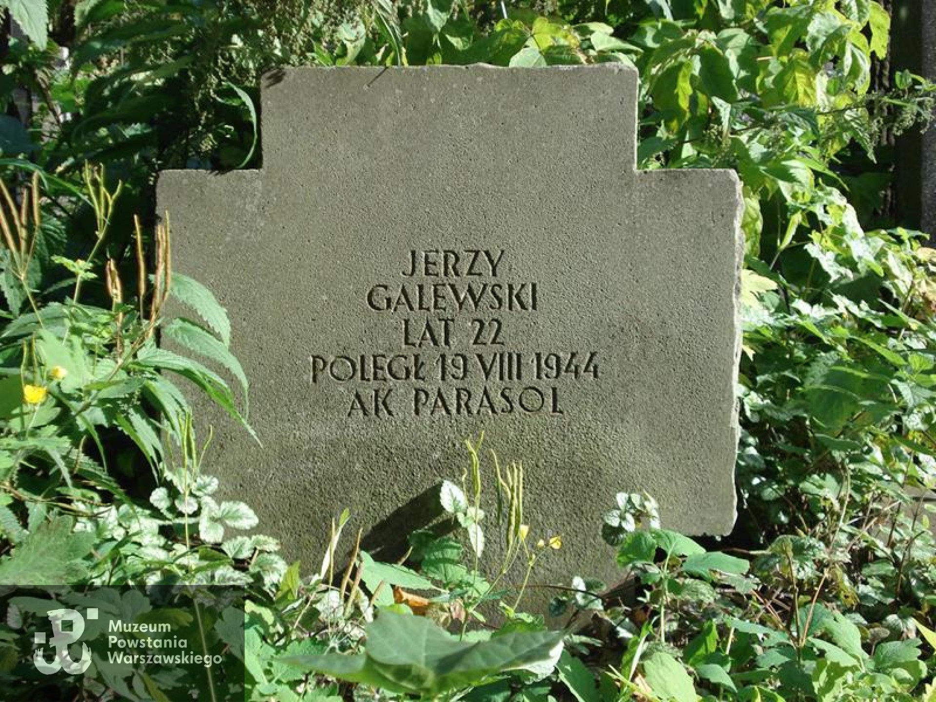Źródło: https://cmentarze.um.warszawa.pl/pomnik.aspx?pom_id=43919 [dostęp: 18.03.2026].