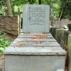 Źródło: https://cmentarze.um.warszawa.pl/pomnik.aspx?pom_id=38008 [dostęp: 20.01.2026].