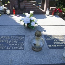 Źródło: https://msipmo.olsztyn.eu/zck/?gpmap=gp1&bbox=7466514.676309795,5962252.559117349,7468538.213690204,5963135.210882653&utm_source=iMapClient&utm_medium=startPanel&utm_campaign=MSIPMOZCK2016 [dostęp: 25.09.2025].