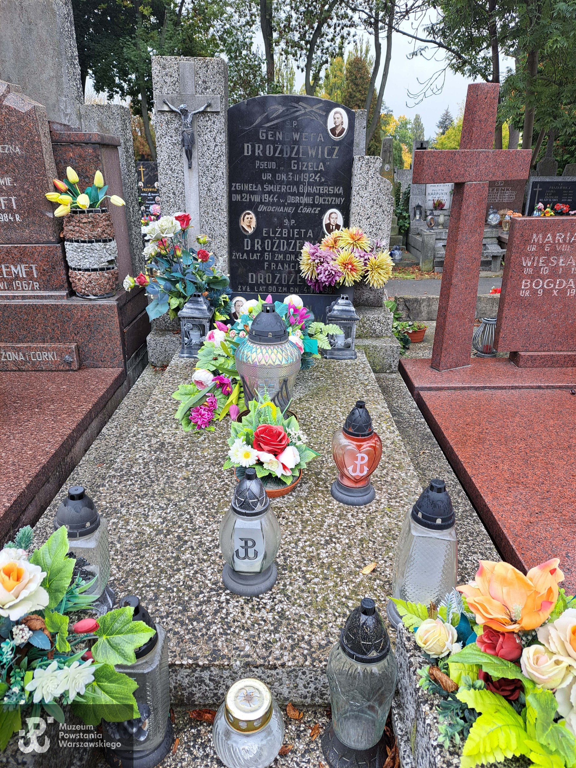 Źródło: Agnieszka Nowak.