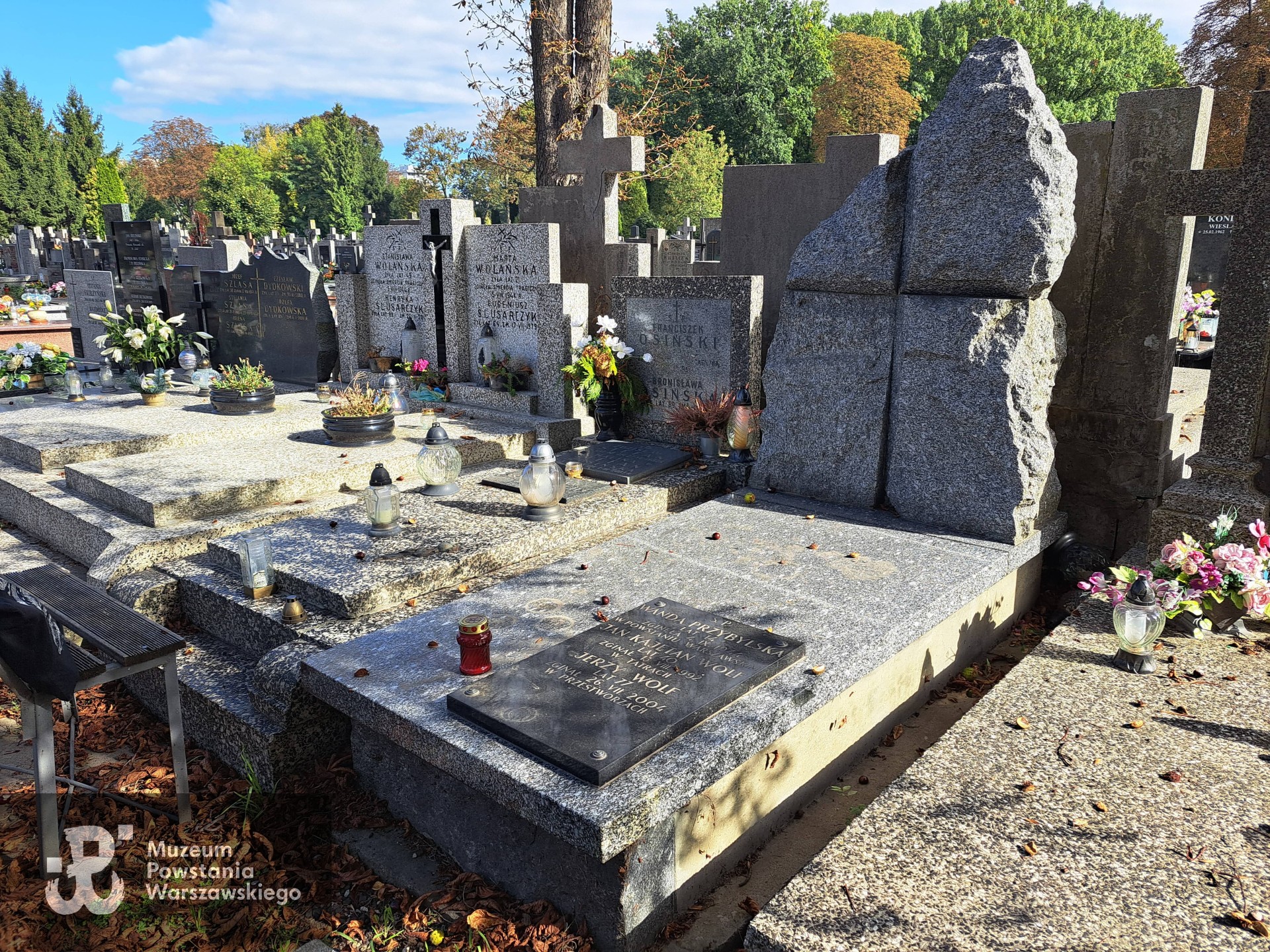 Źródło: Agnieszka Nowak.