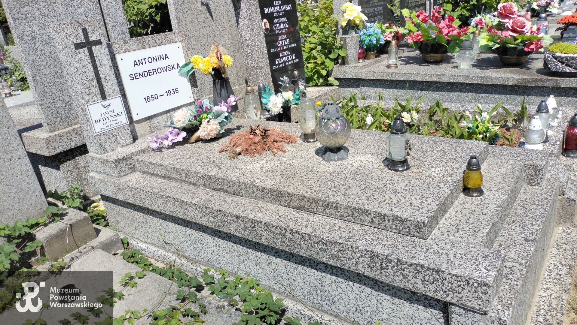 Źródło: Zespół Szkół nr 14 w Warszawie.