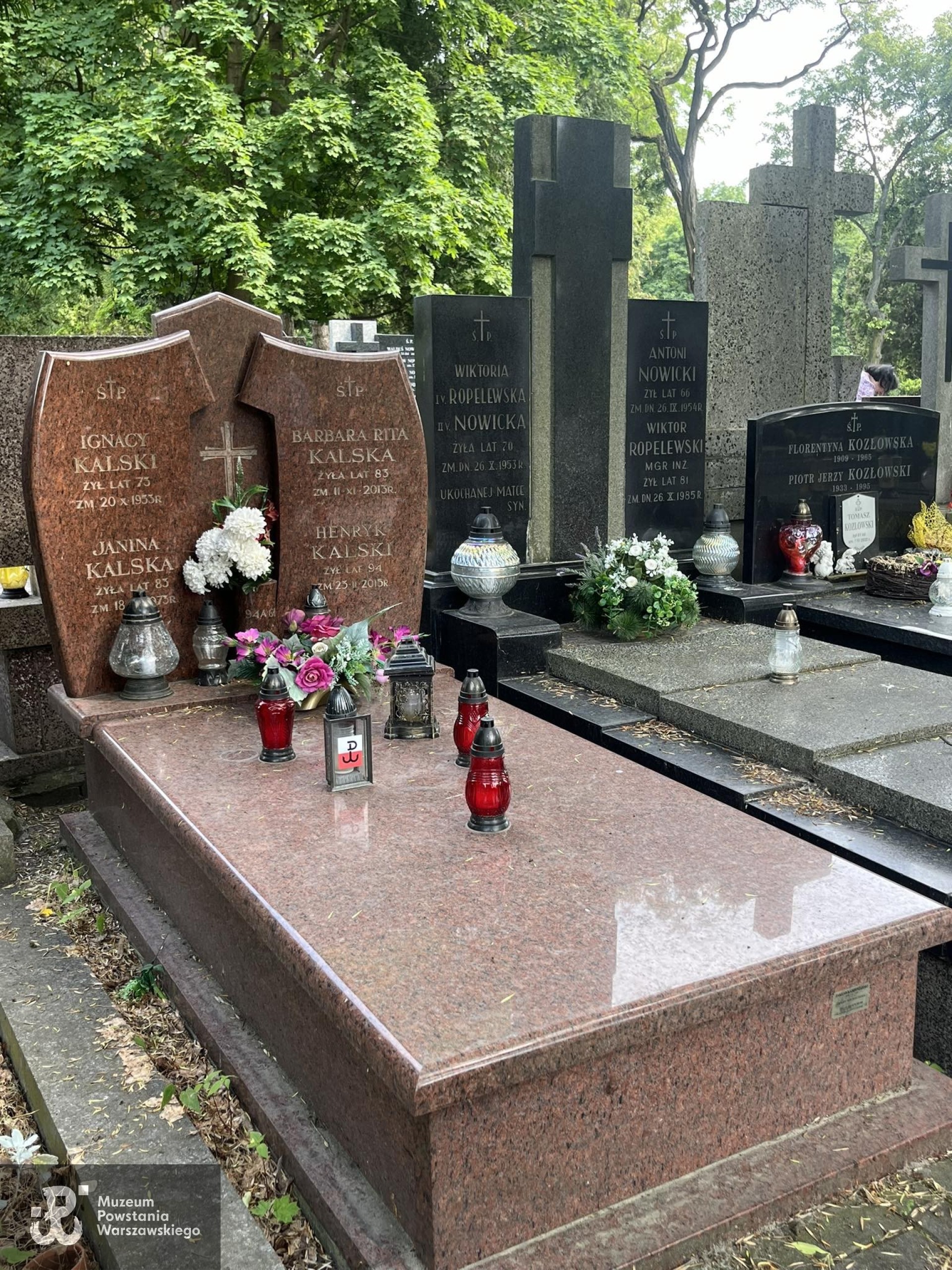 Źródło: VIII Liceum Ogólnokształcące im. Władysława IV w Warszawie.