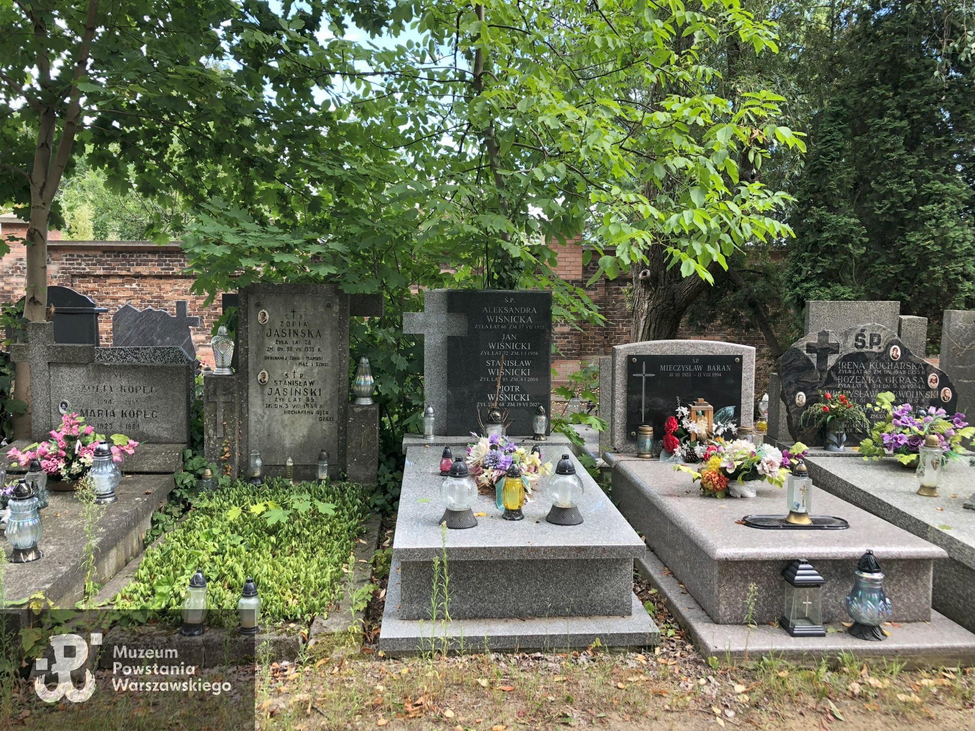 Źródło: Dorota Kotowska.