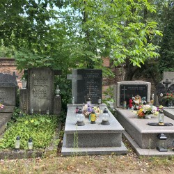 Źródło: Dorota Kotowska.