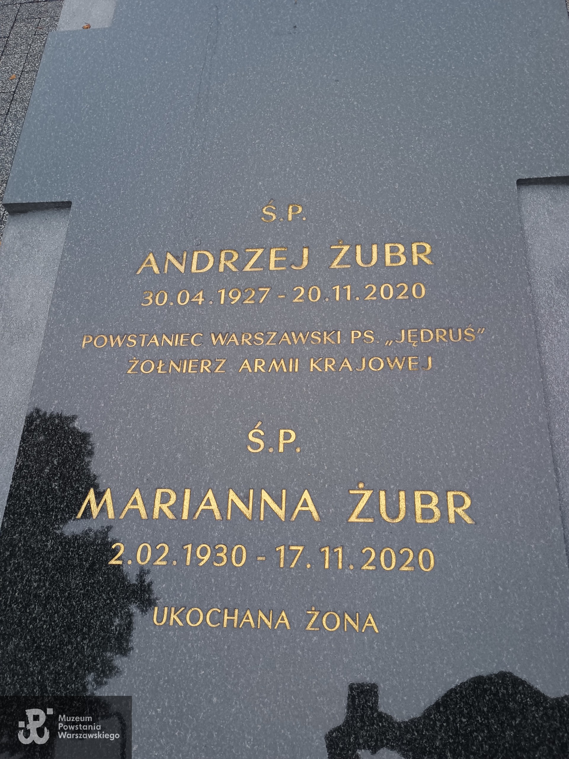 Źródło: Maciej Dzioba.