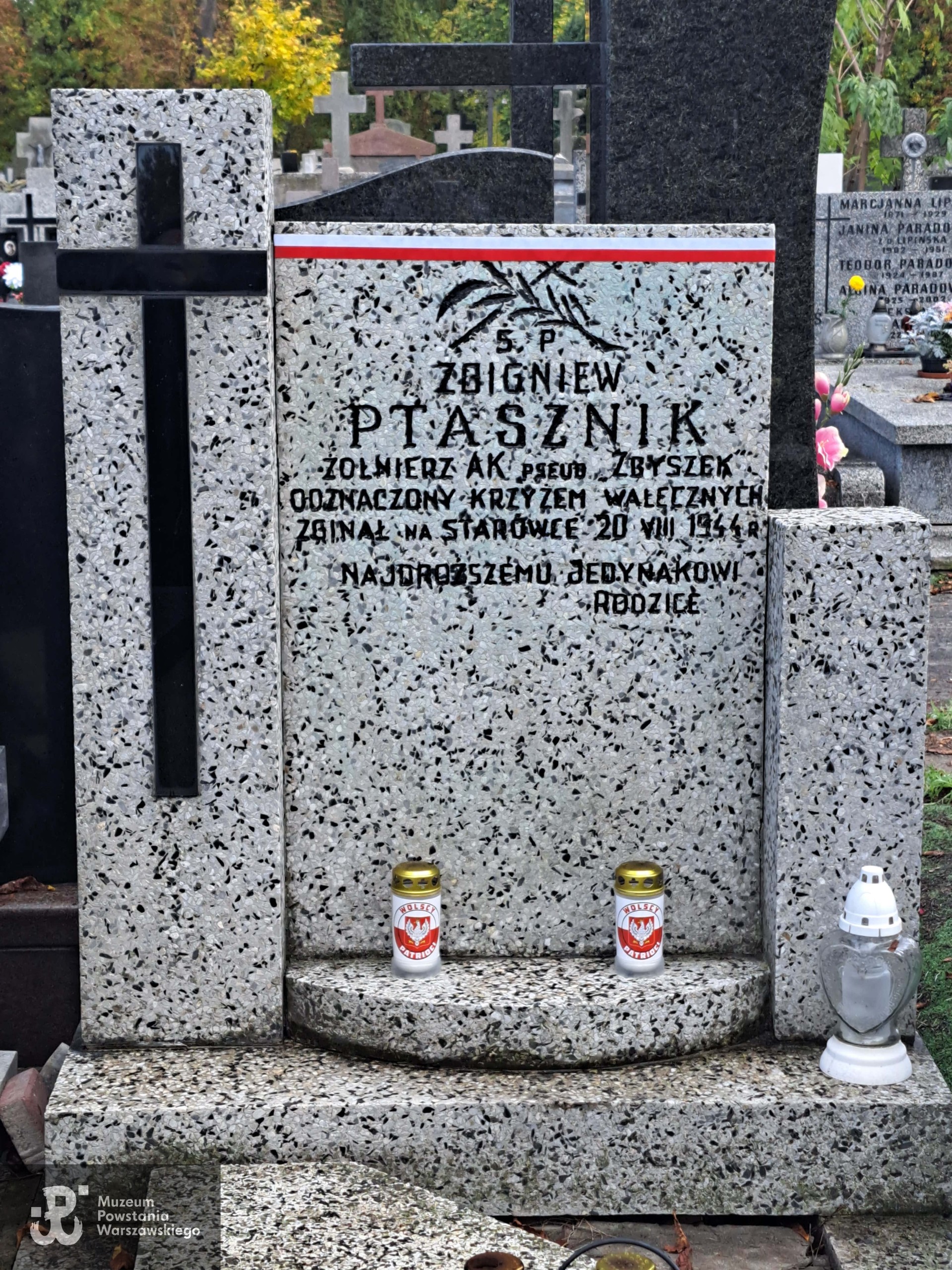 Źrodło: Agnieszka Nowak.