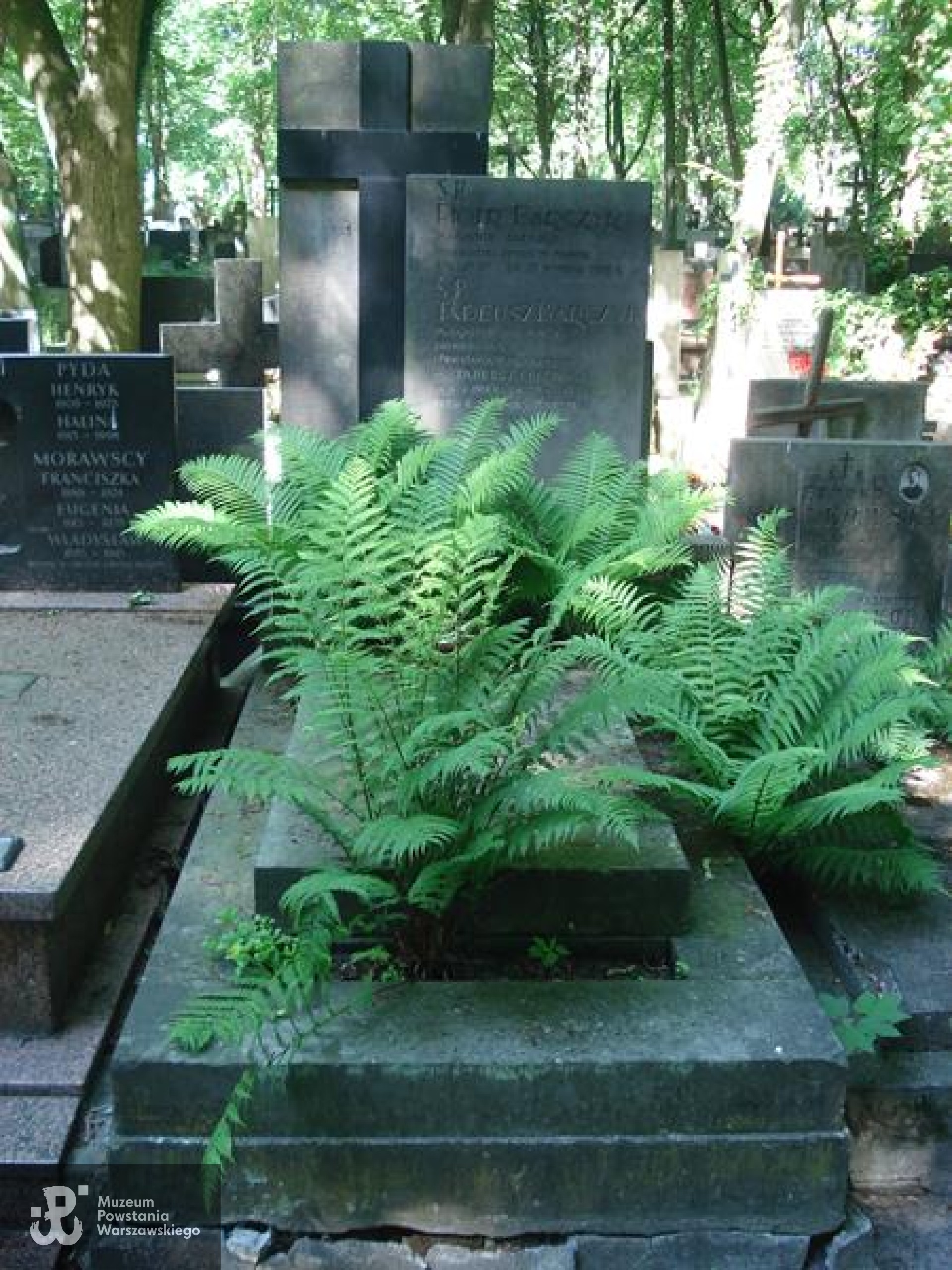 Źródło: https://cmentarze.um.warszawa.pl/pomnik.aspx?pom_id=64455 [dostęp: 12.05.2025].