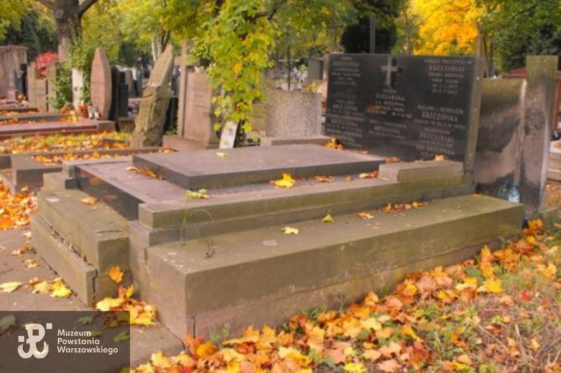 Źródło: https://cmentarze.um.warszawa.pl/pomnik.aspx?pom_id=25740 [dostęp: 11.06.2025].