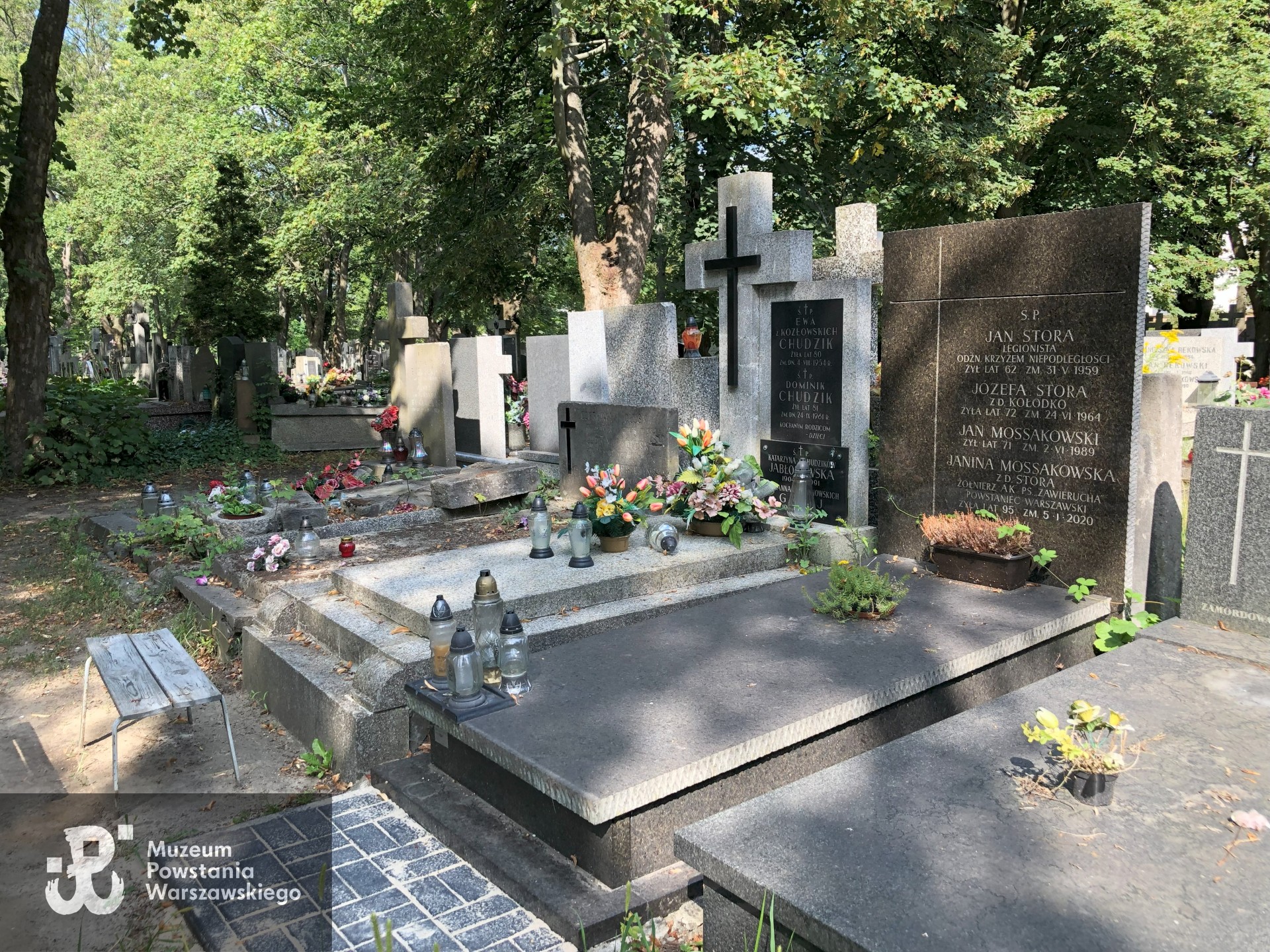 Źródło: Dorota Kotowska.