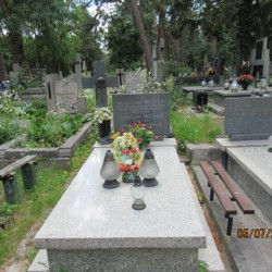 Źródło: https://otwock.grobonet.com/grobonet/start.php?id=detale&idg=6406 [dostęp: 21.05.2025].