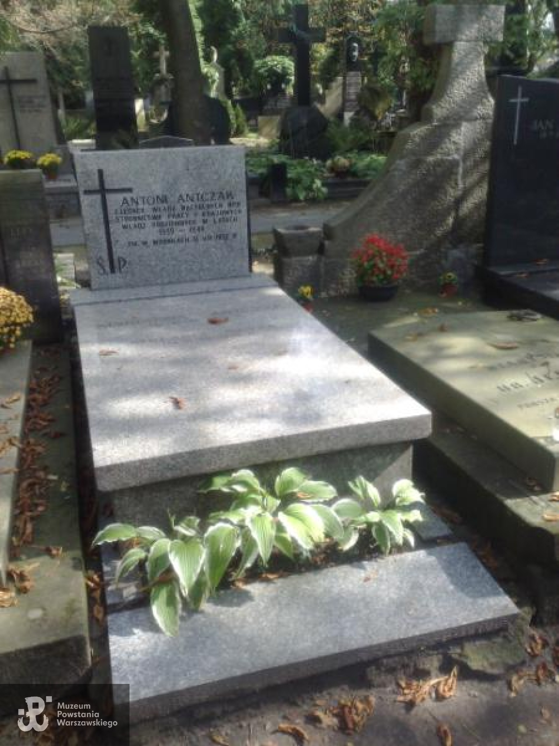 Źródło: https://cmentarze.um.warszawa.pl/pomnik.aspx?pom_id=4889 [dostęp: 15.04.2025].