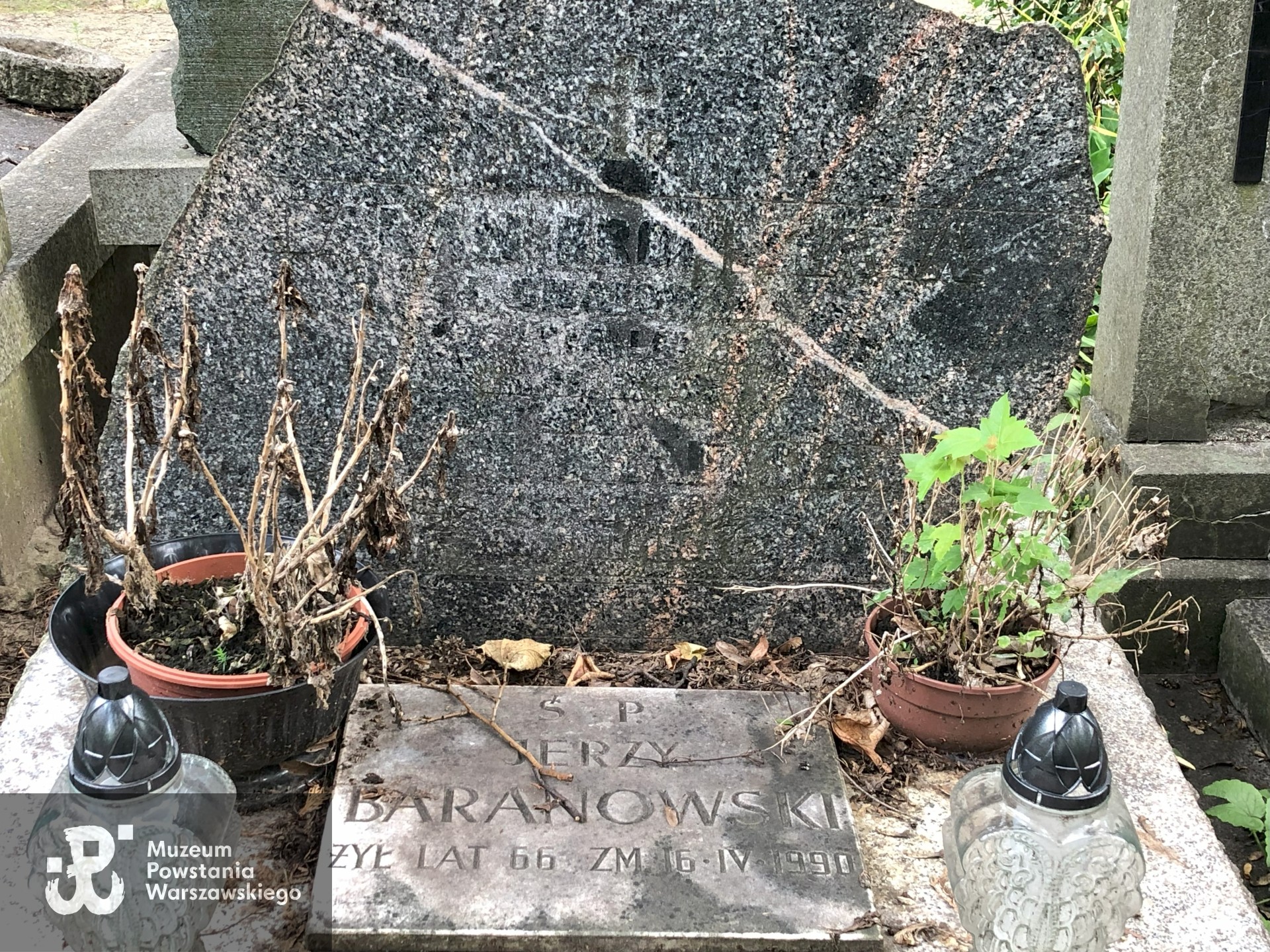 Źródło: Dorota Kotowska.