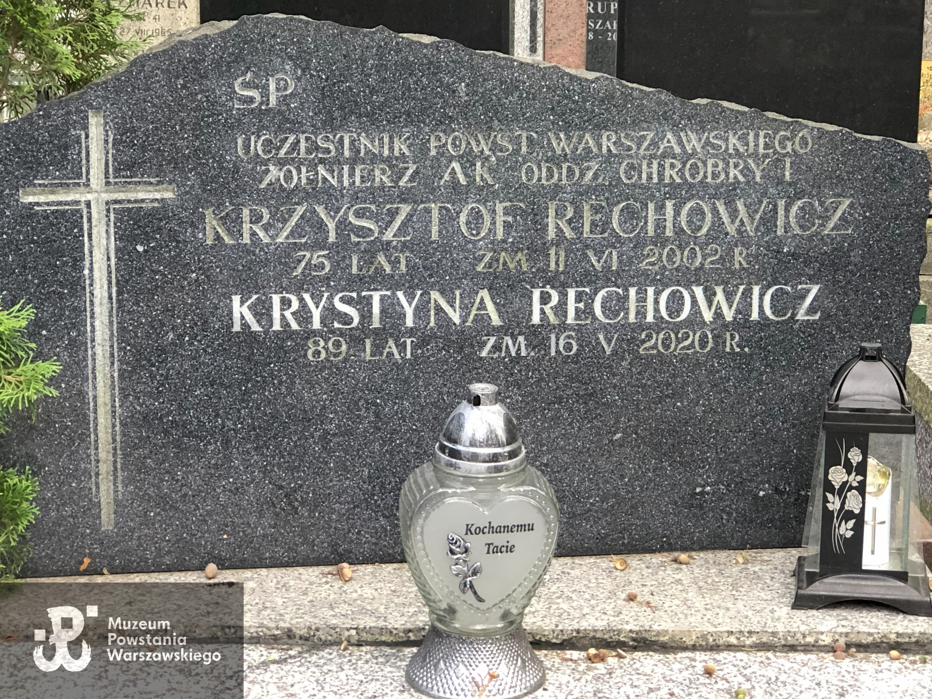 Źródło: Dorota Kotowska.