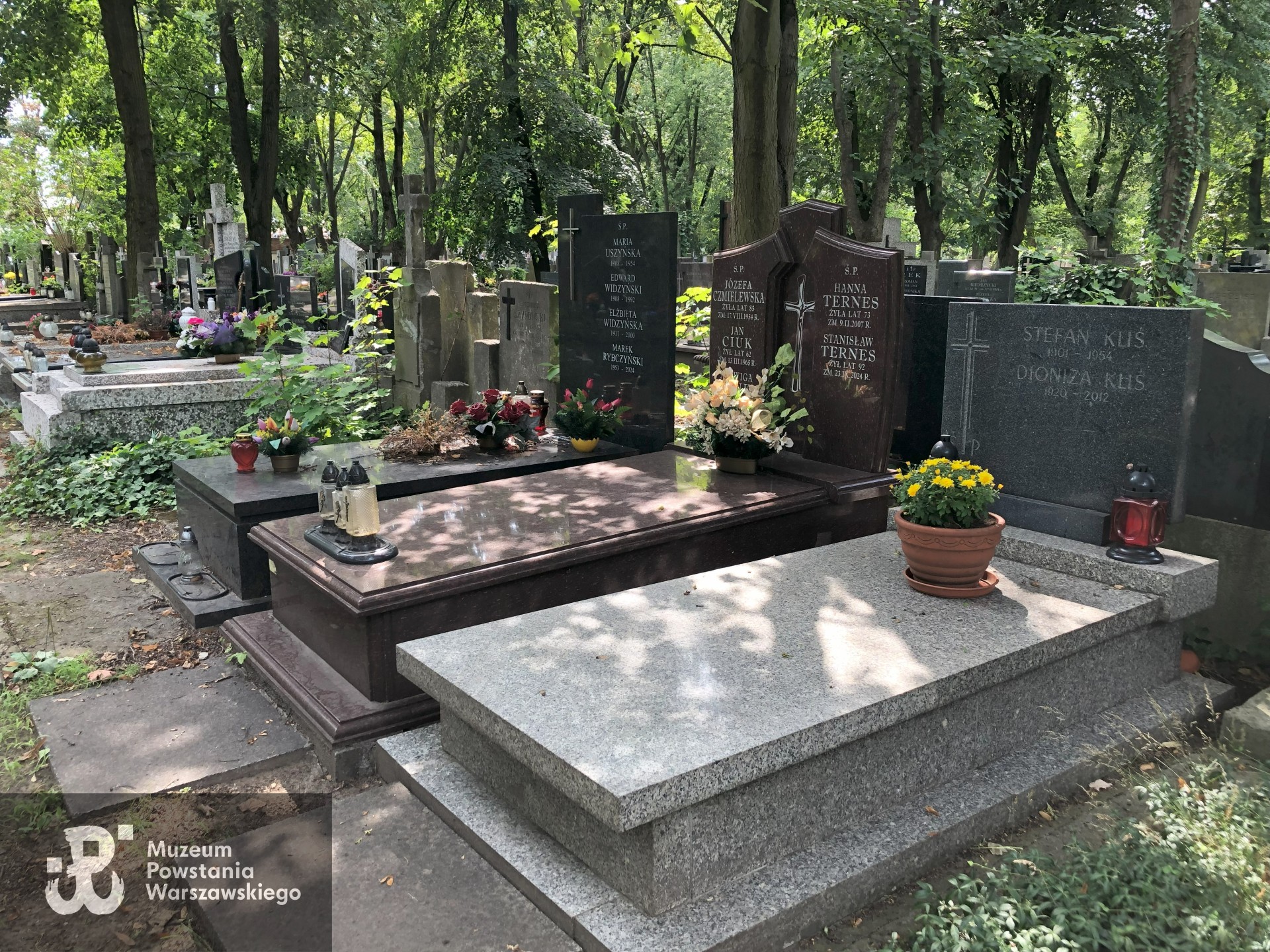 Źródło: Dorota Kotowska, Agnieszka Nowak.