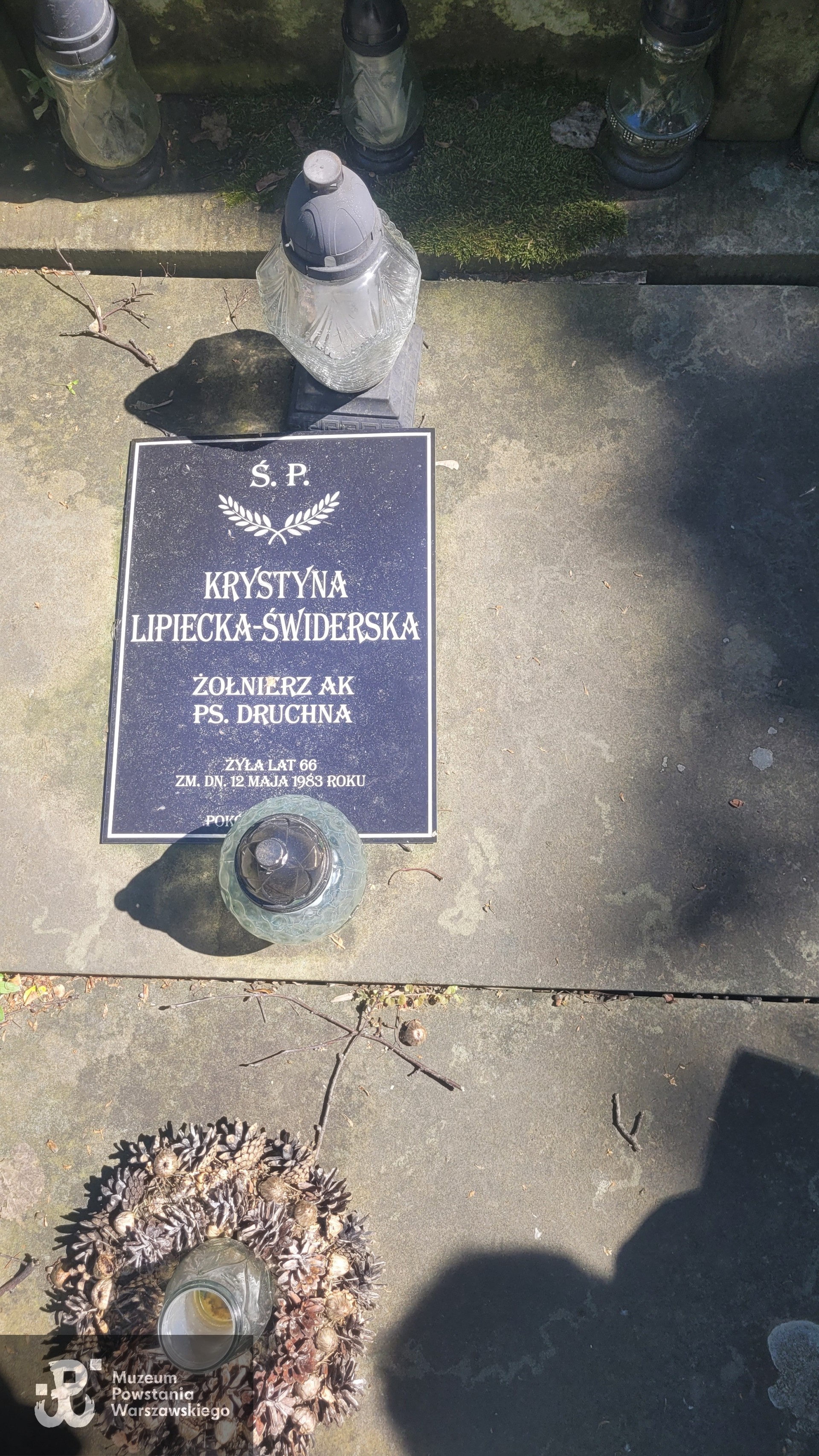 Źródło: VIII Liceum Ogólnokształcące im. Władysława IV w Warszawie.