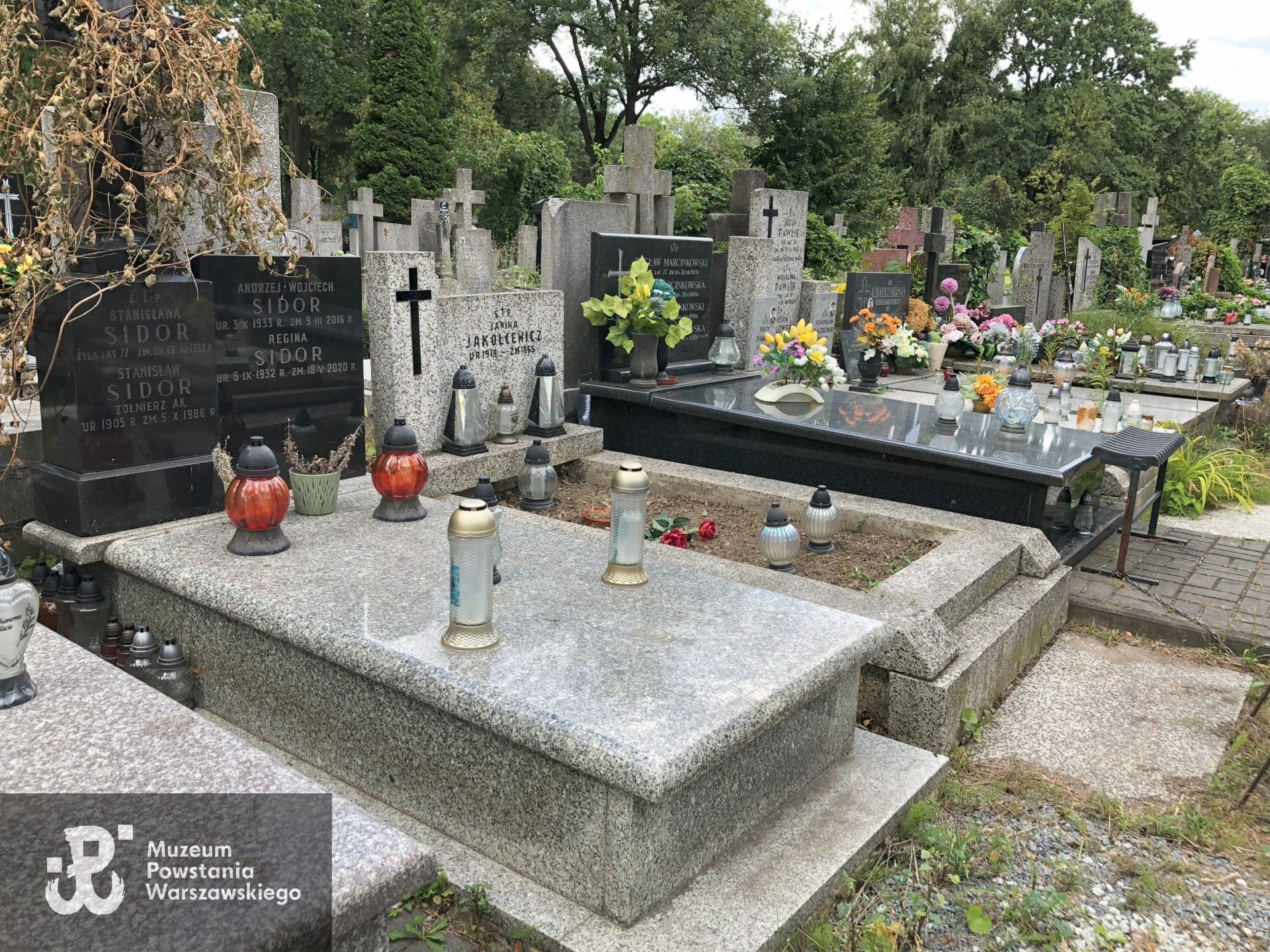 Źródło: Dorota Kotowska.