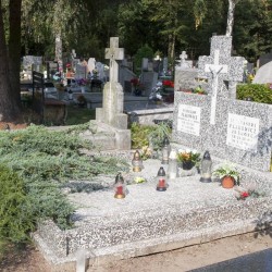 Źródło: https://msipmo.olsztyn.eu/zck/?gpmap=gp1&bbox=7466514.676309795,5962252.559117349,7468538.213690204,5963135.210882653&utm_source=iMapClient&utm_medium=startPanel&utm_campaign=MSIPMOZCK2016 [dostęp: 29.01.2026].