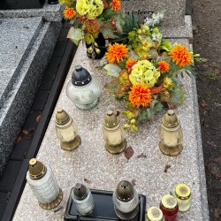 Źródło: Aneta Wyciszkiewicz.