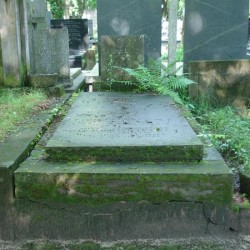 Źródło: https://cmentarze.um.warszawa.pl/pomnik.aspx?pom_id=45275 [dostęp: 09.09.2025].