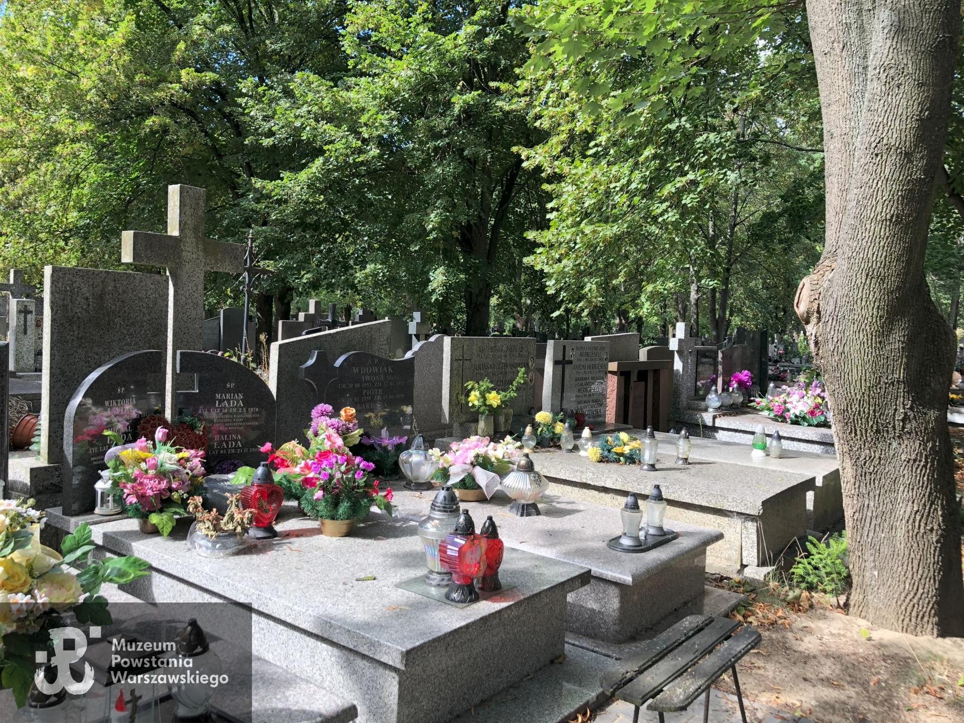 Źródło: Dorota Kotowska.