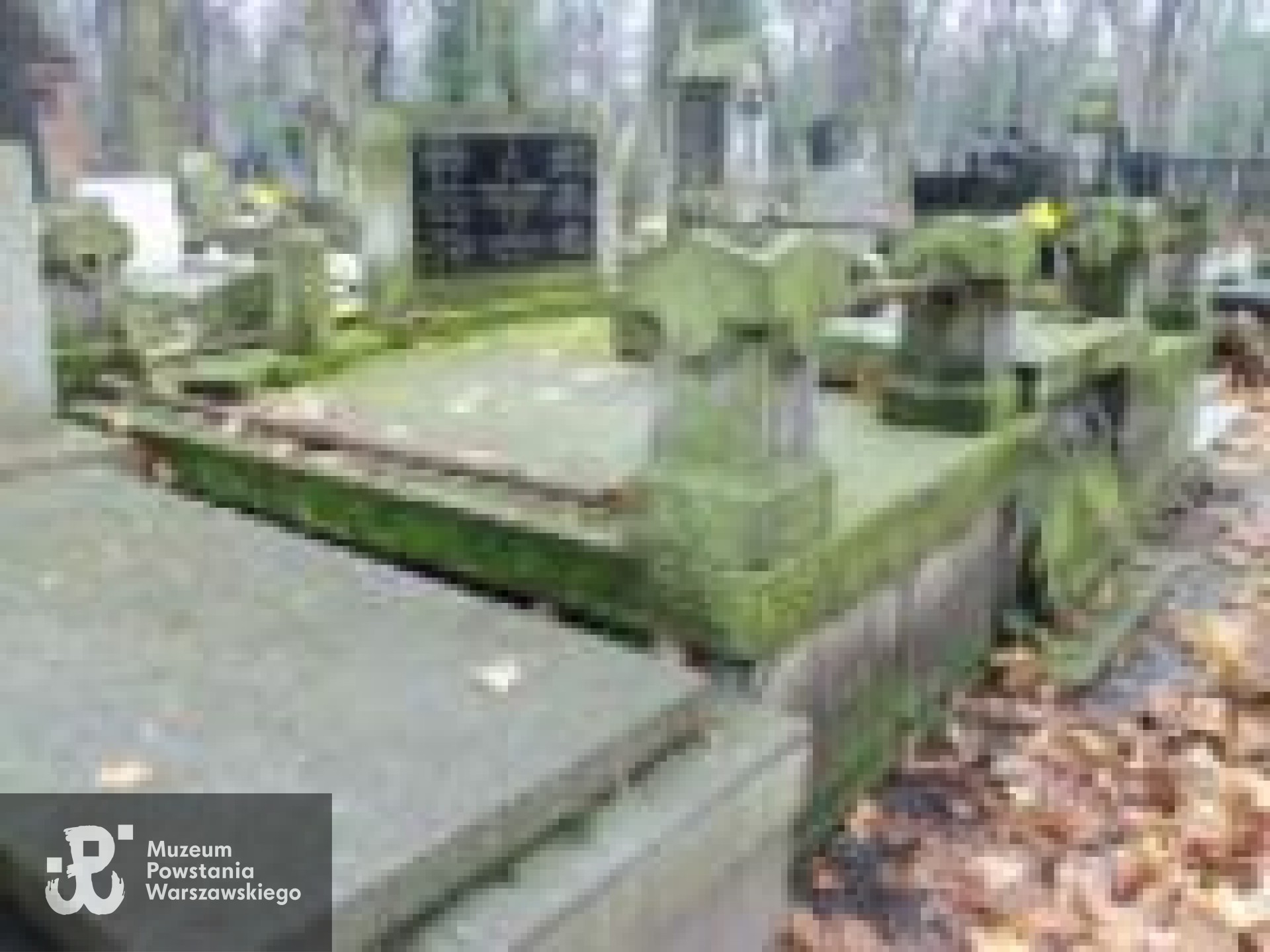 Źródło: https://cmentarze.um.warszawa.pl/pomnik.aspx?pom_id=24696 [dostęp: 10.04.2025].