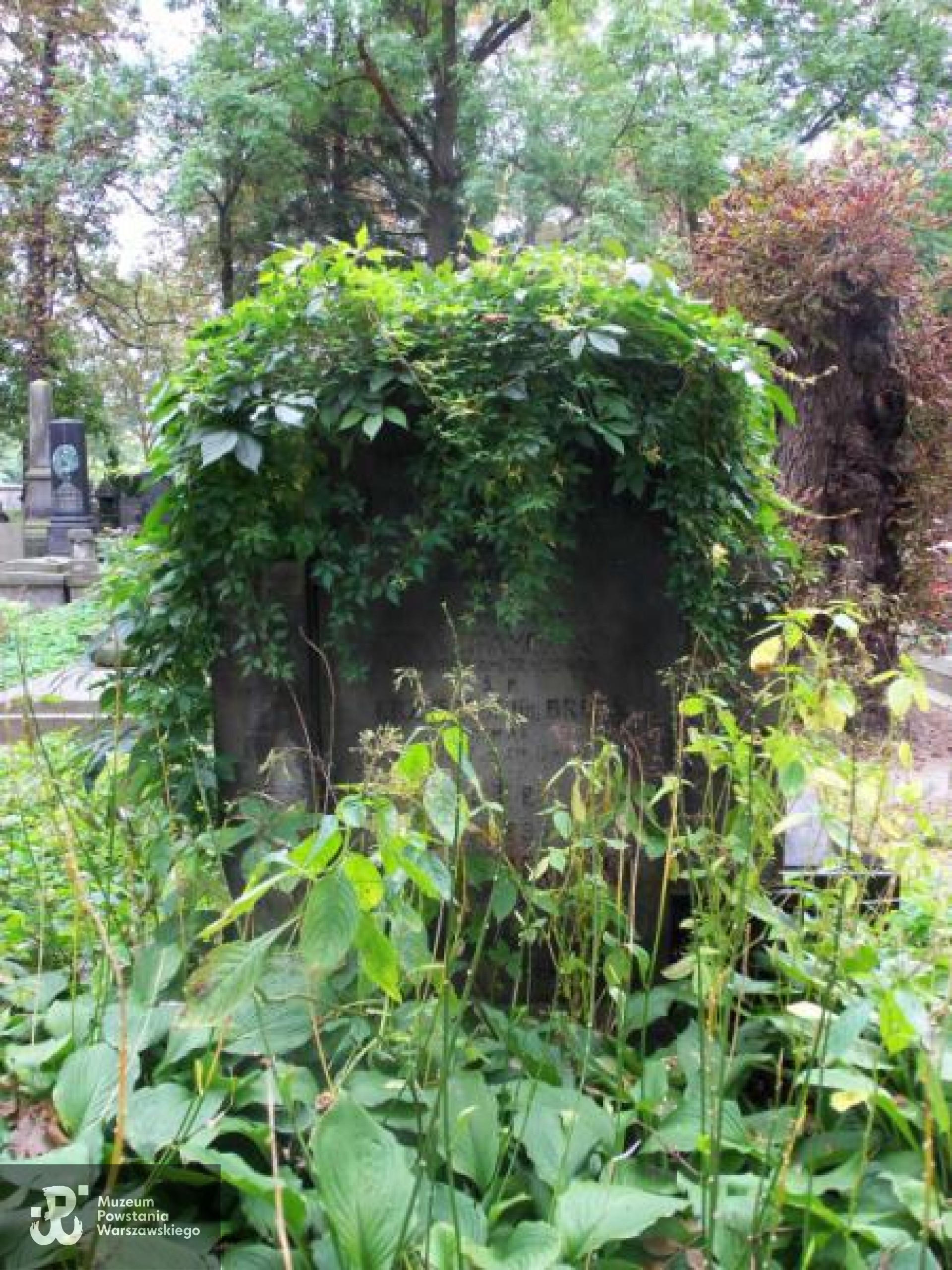 Źródło: https://cmentarze.um.warszawa.pl/pomnik.aspx?pom_id=14304 [dostęp: 09.06.2025].