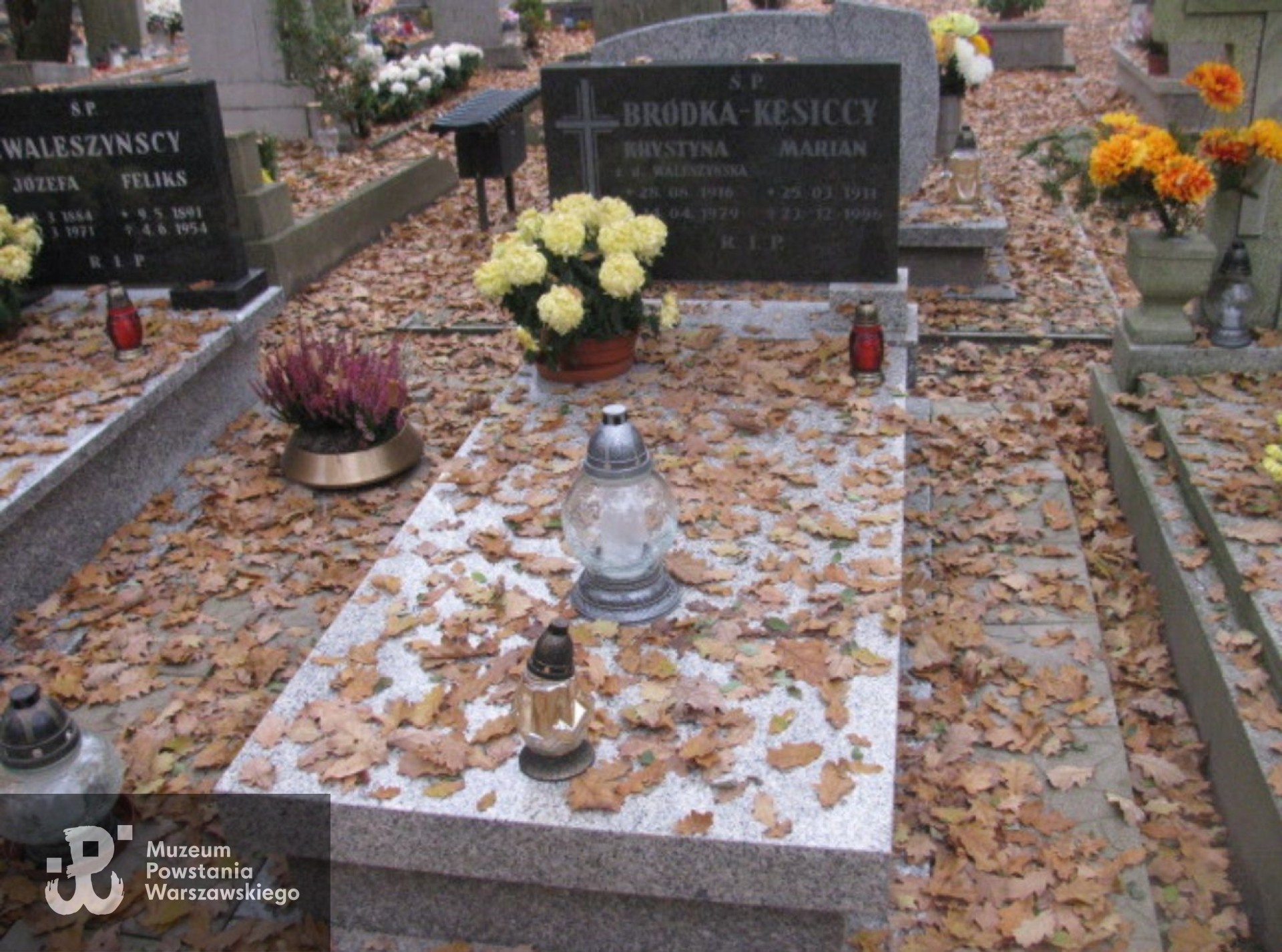 Źródło: https://opolepolwies.grobonet.com/grobonet/start.php?id=detale&idg=14005 [dostęp: 10.06.2025].