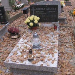 Źródło: https://opolepolwies.grobonet.com/grobonet/start.php?id=detale&idg=14005 [dostęp: 10.06.2025].