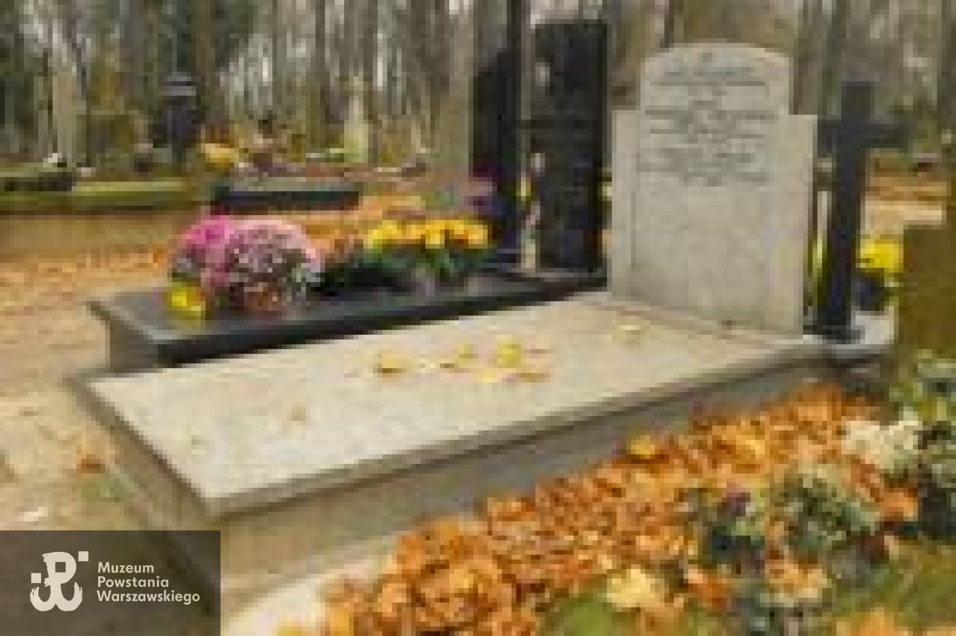 Źródło: https://cmentarze.um.warszawa.pl/pomnik.aspx?pom_id=24957 [dostęp: 10.04.2025].