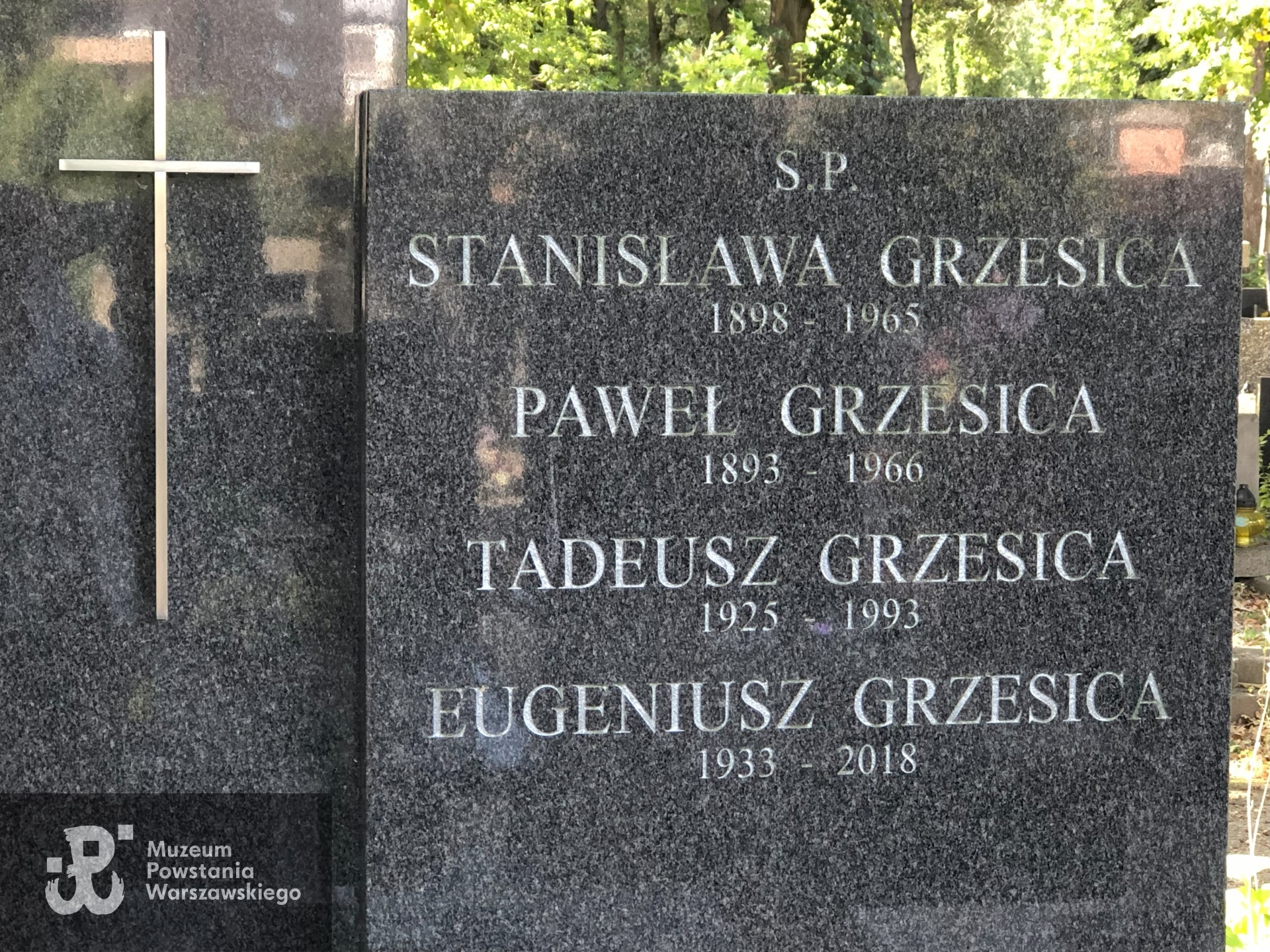 Źródło: Dorota Kotowska.