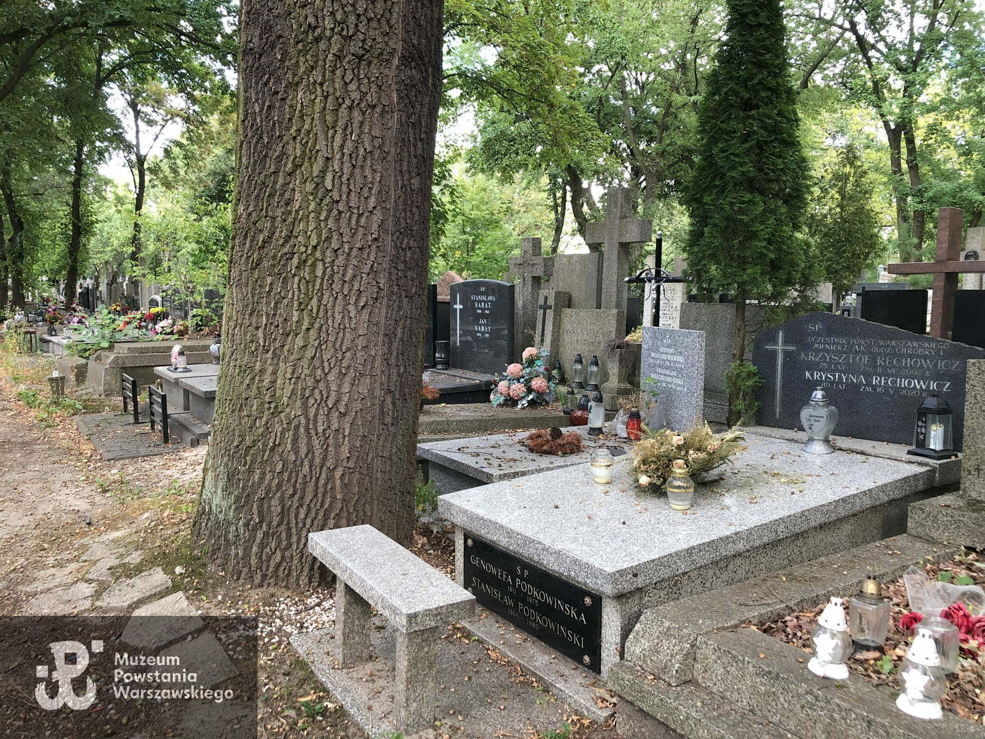 Źródło: Dorota Kotowska.