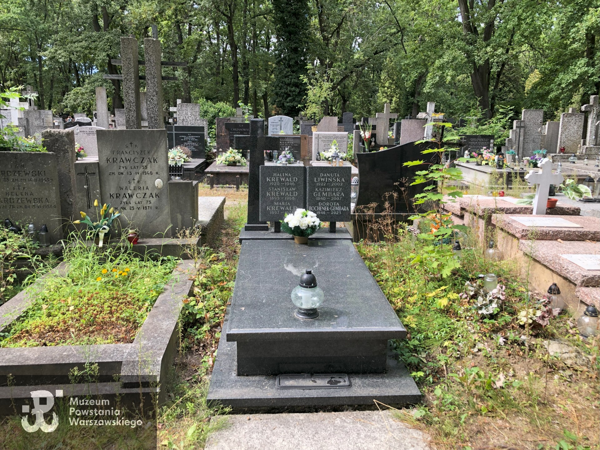 Źródło: Dorota Kotowska.