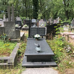 Źródło: Dorota Kotowska.