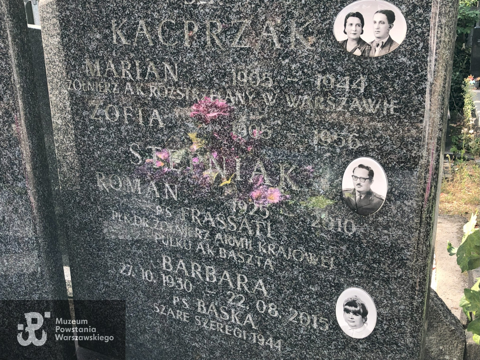 Źródło: Dorota Kotowska.