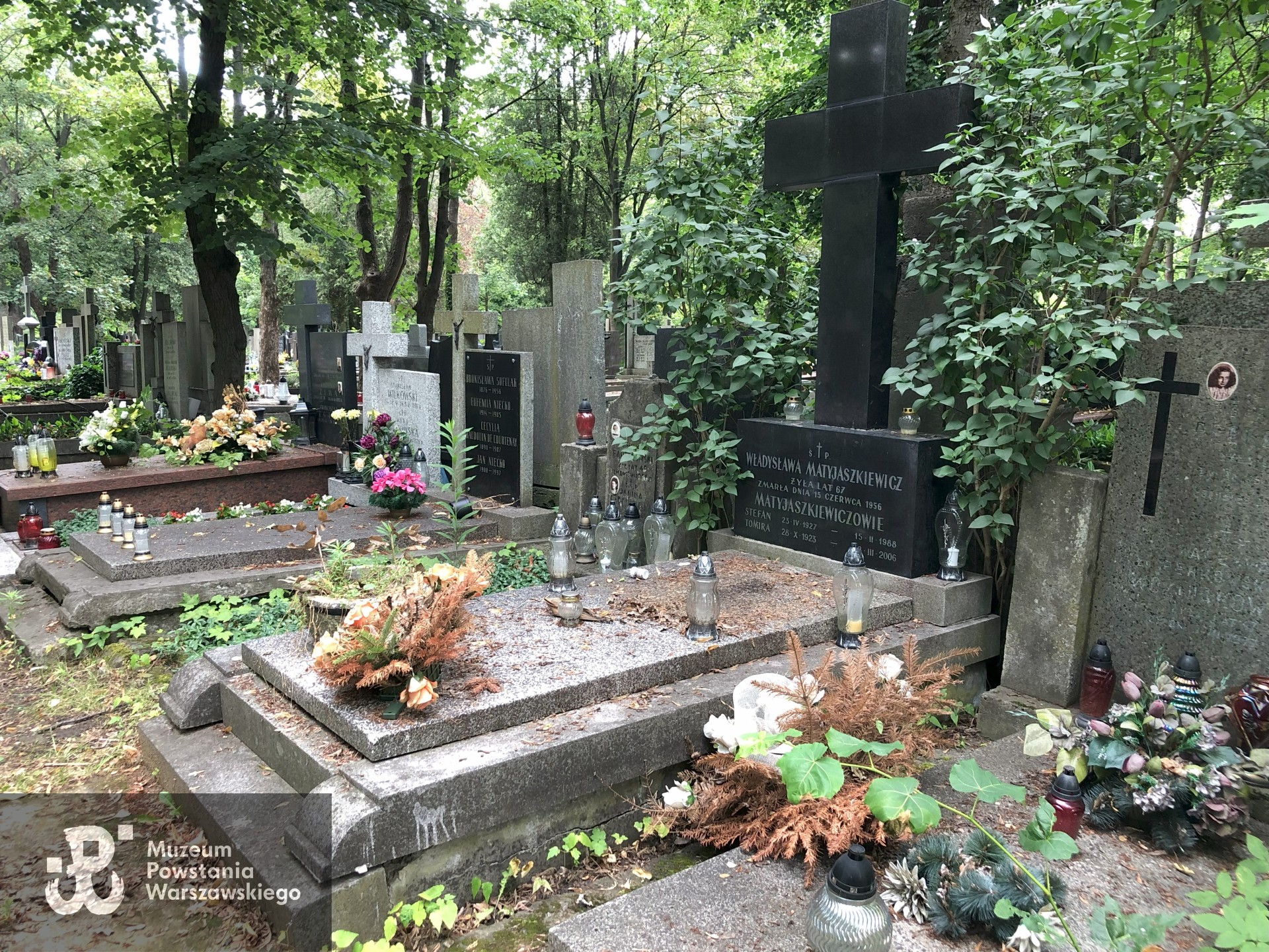 Źródło: Dorota Kotowska.