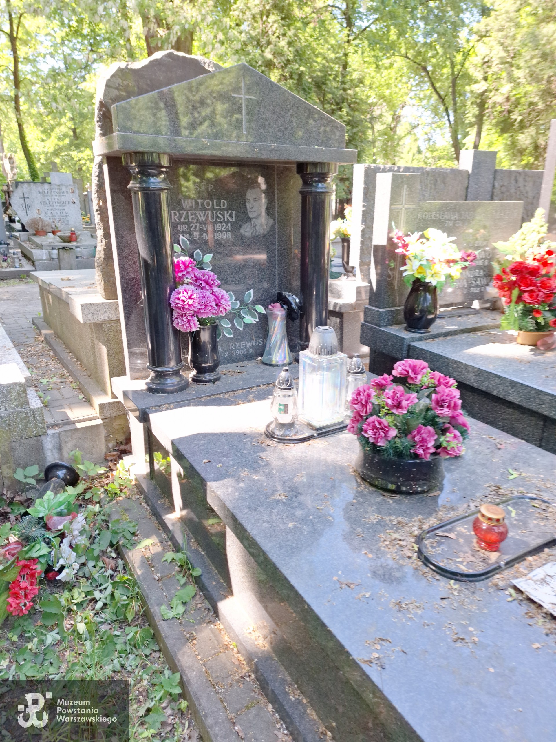 Źródło: VIII Liceum Ogólnokształcące im. Władysława IV w Warszawie.