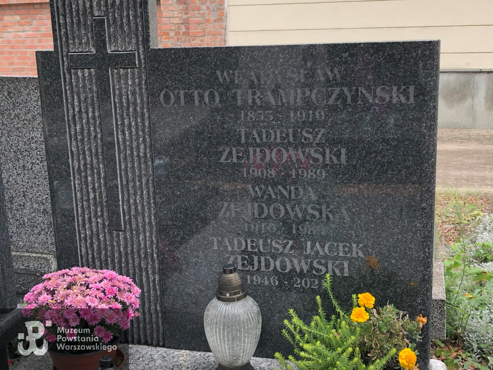 Źródło: Dorota Kotowska.