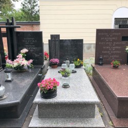 Źródło: Dorota Kotowska.