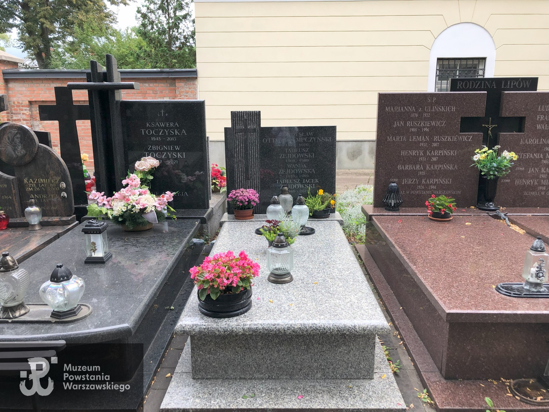 Źródło: Dorota Kotowska.