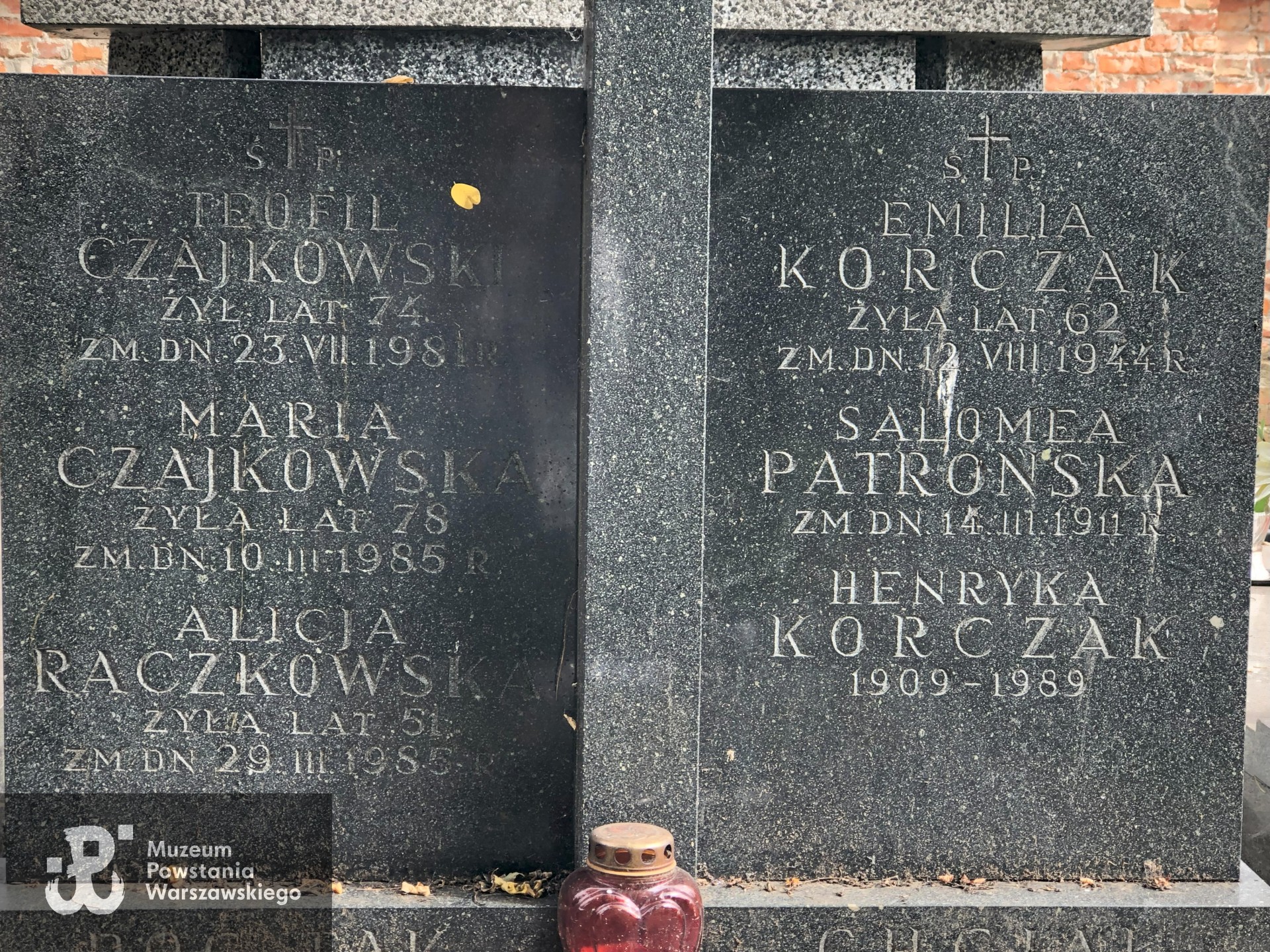 Źródło: Dorota Kotowska.