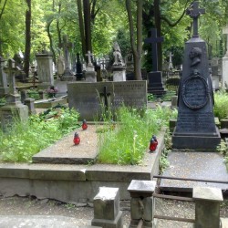 Źródło: https://cmentarze.um.warszawa.pl/pomnik.aspx?pom_id=10271 [dostęp: 25.09.2025].