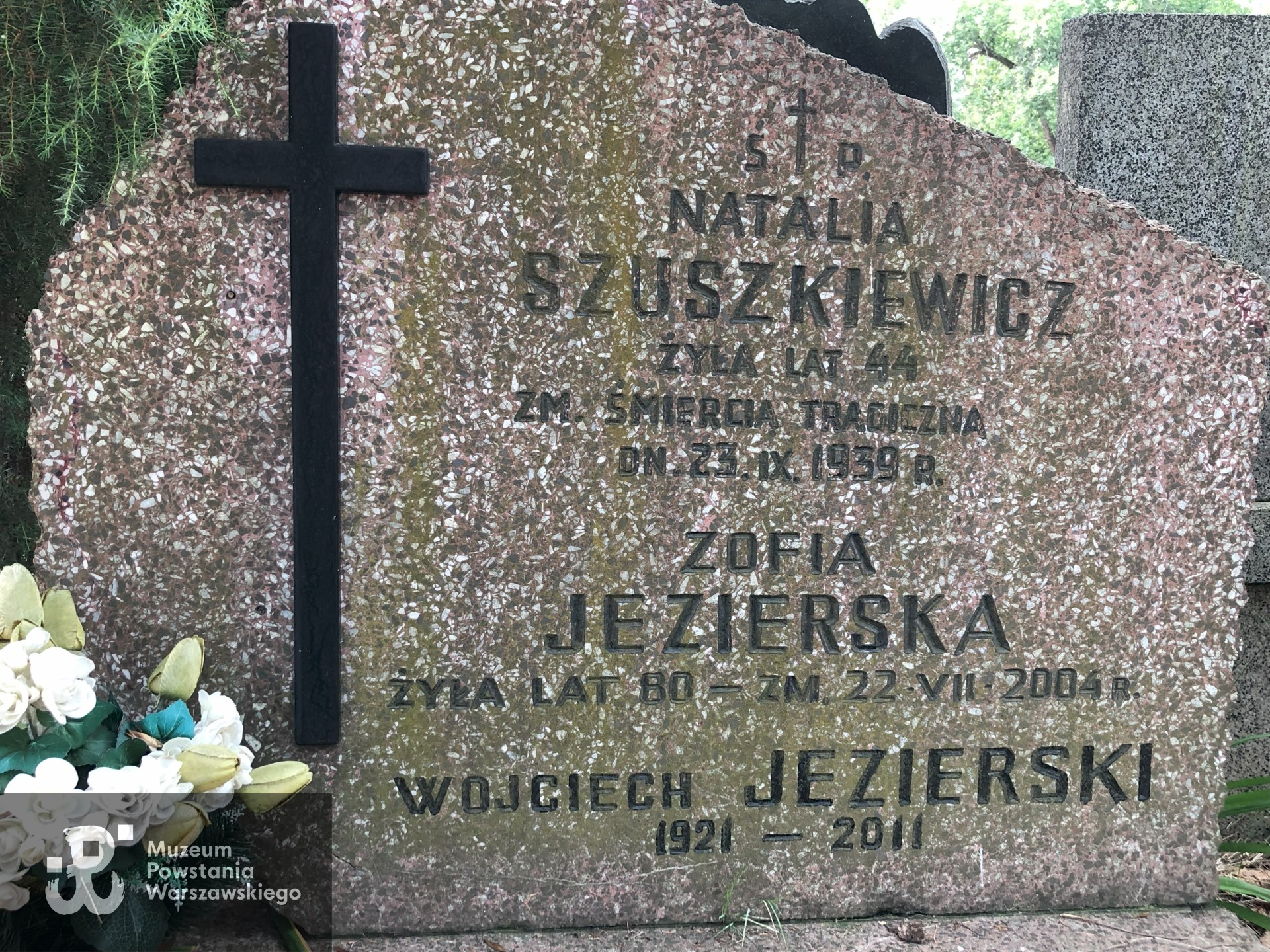 Źródło: Dorota Kotowska, Agnieszka Nowak.