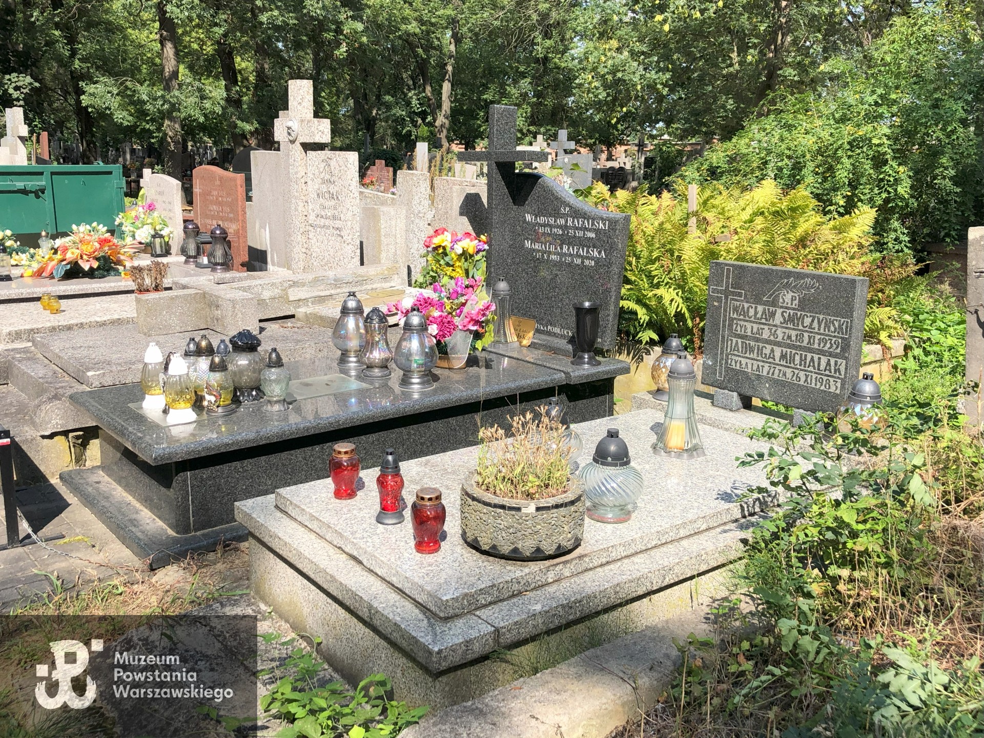 Źródło: Dorota Kotowska.