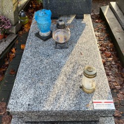 Źródło: Aneta Wyciszkiewicz.