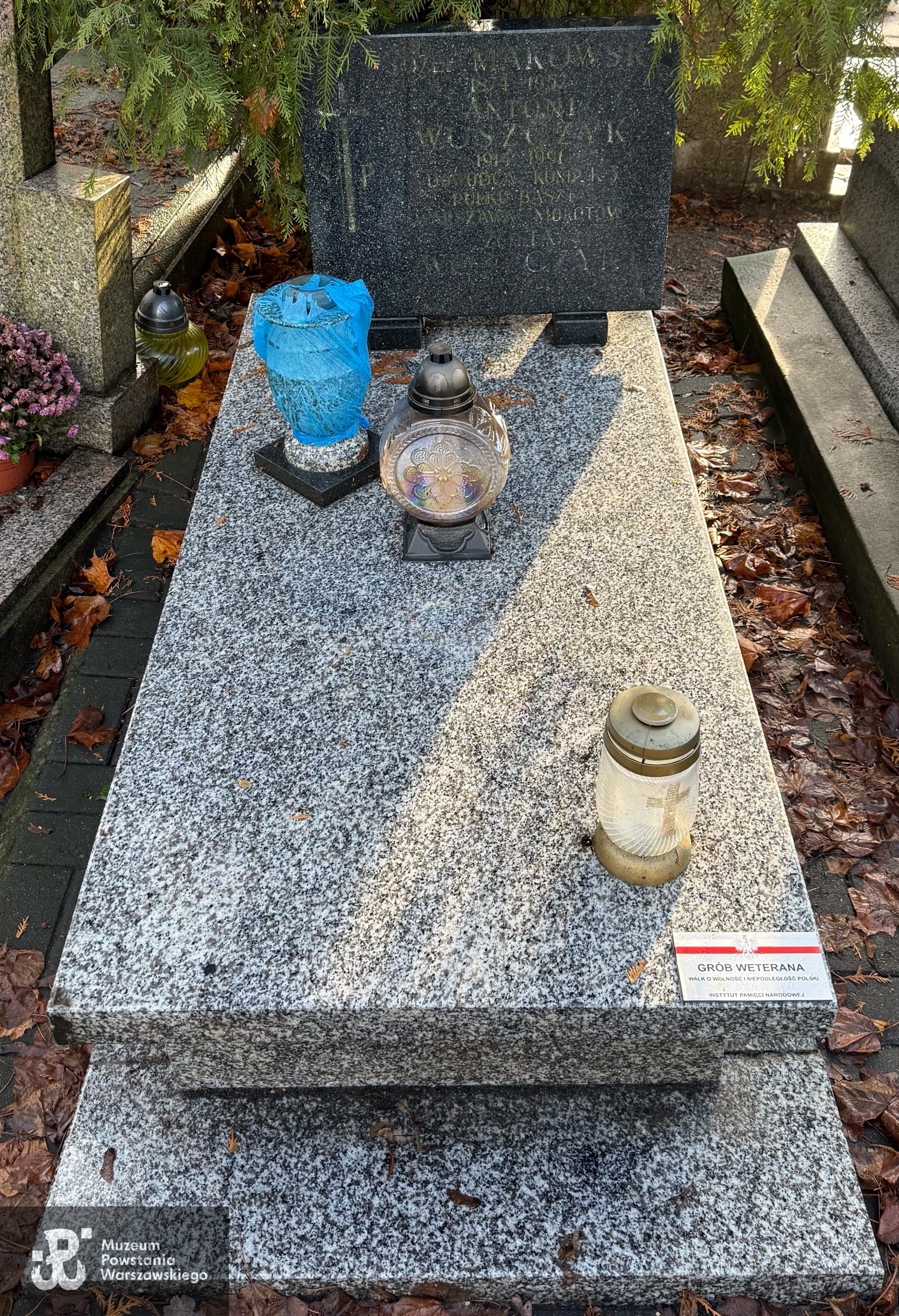 Źródło: Aneta Wyciszkiewicz.