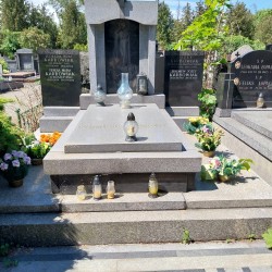 Źródło: VIII Liceum Ogólnokształcące im. Władysława IV w Warszawie.