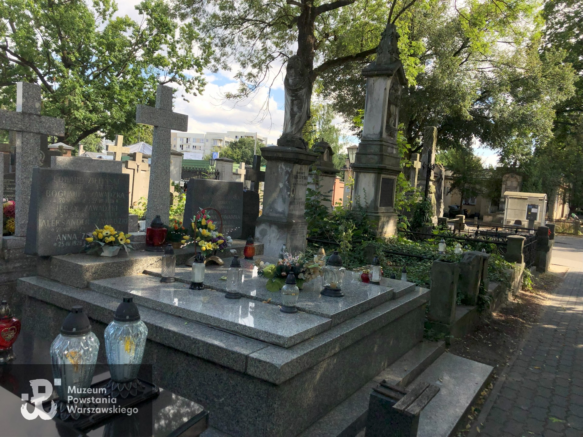 Źródło: Dorota Kotowska.