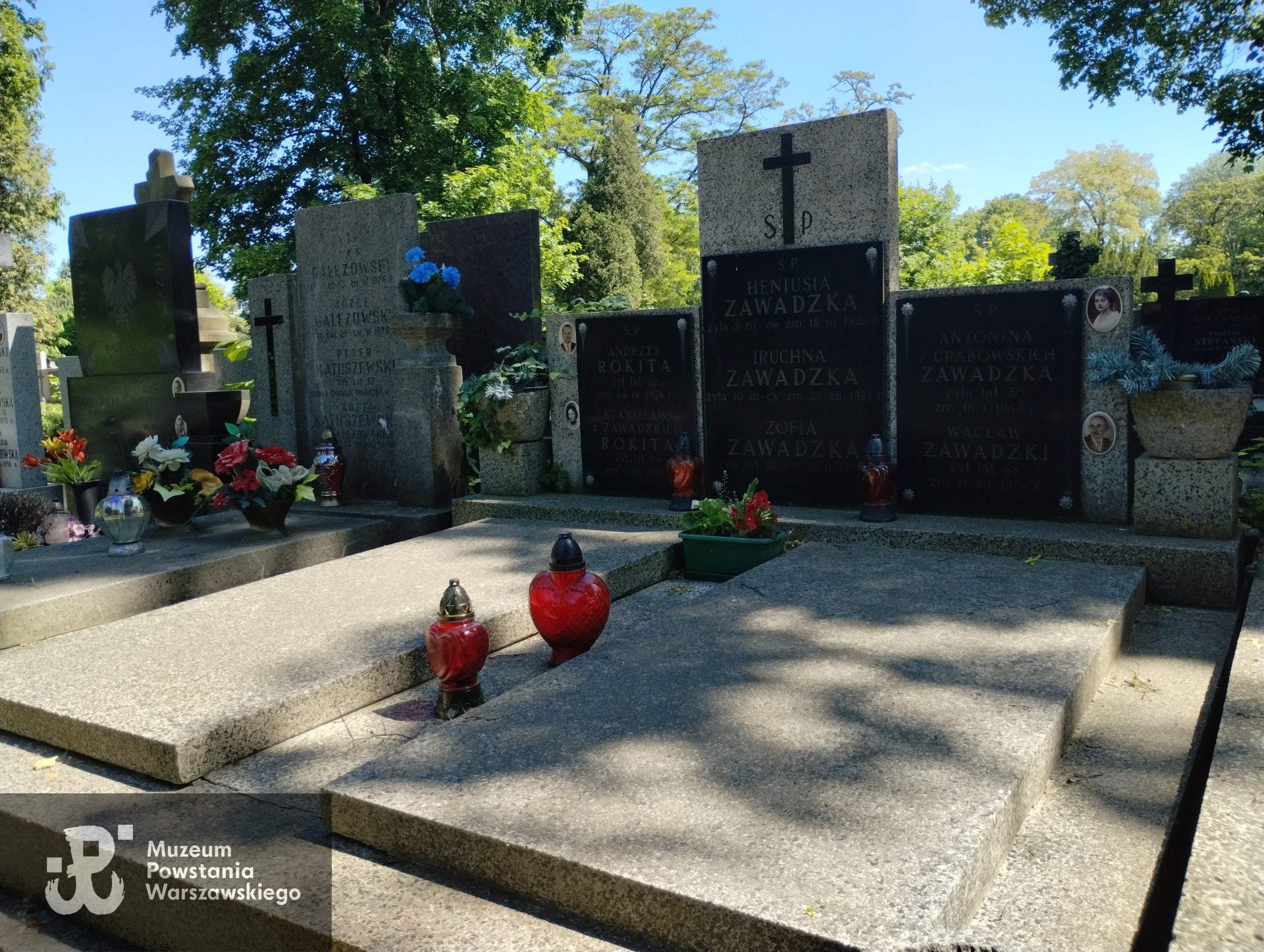 Źródło: VIII Liceum Ogólnokształcące im. Władysława IV w Warszawie.