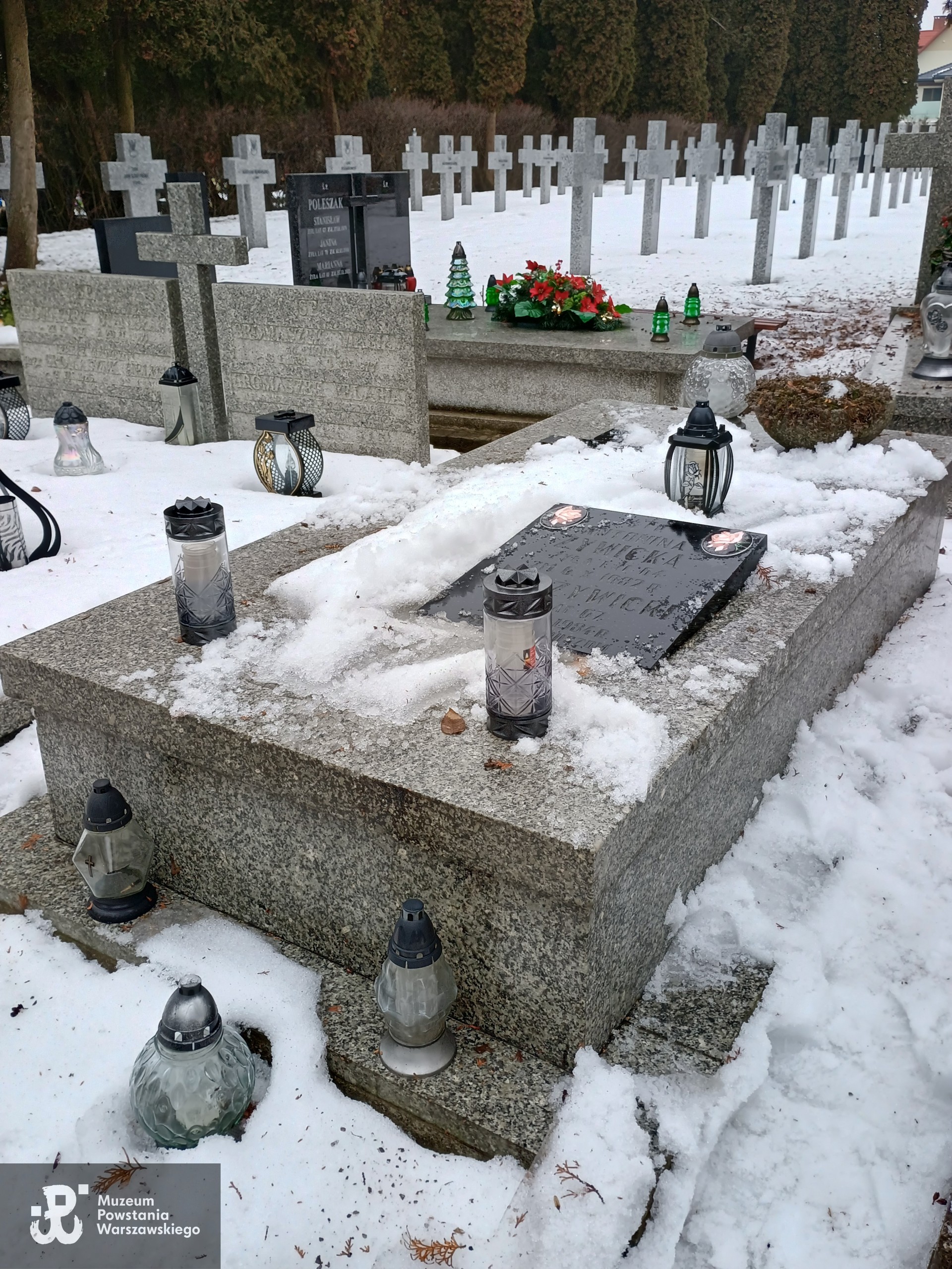 Źródło: Maciej Dzioba.